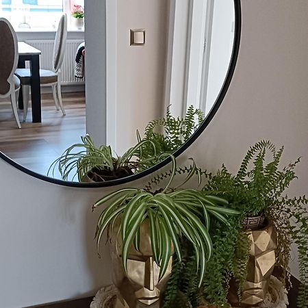 Apartamenty Holender House Choczewo Ngoại thất bức ảnh