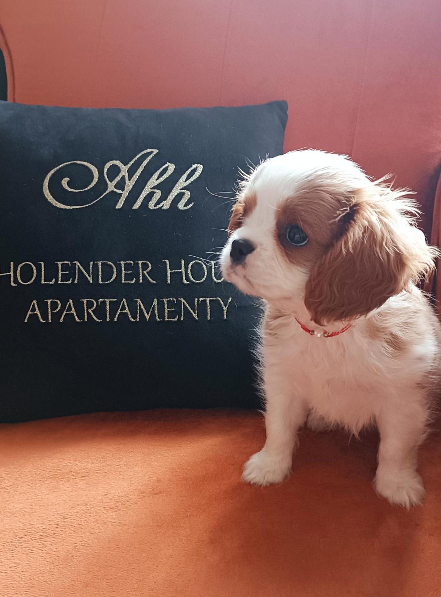Apartamenty Holender House Choczewo Ngoại thất bức ảnh